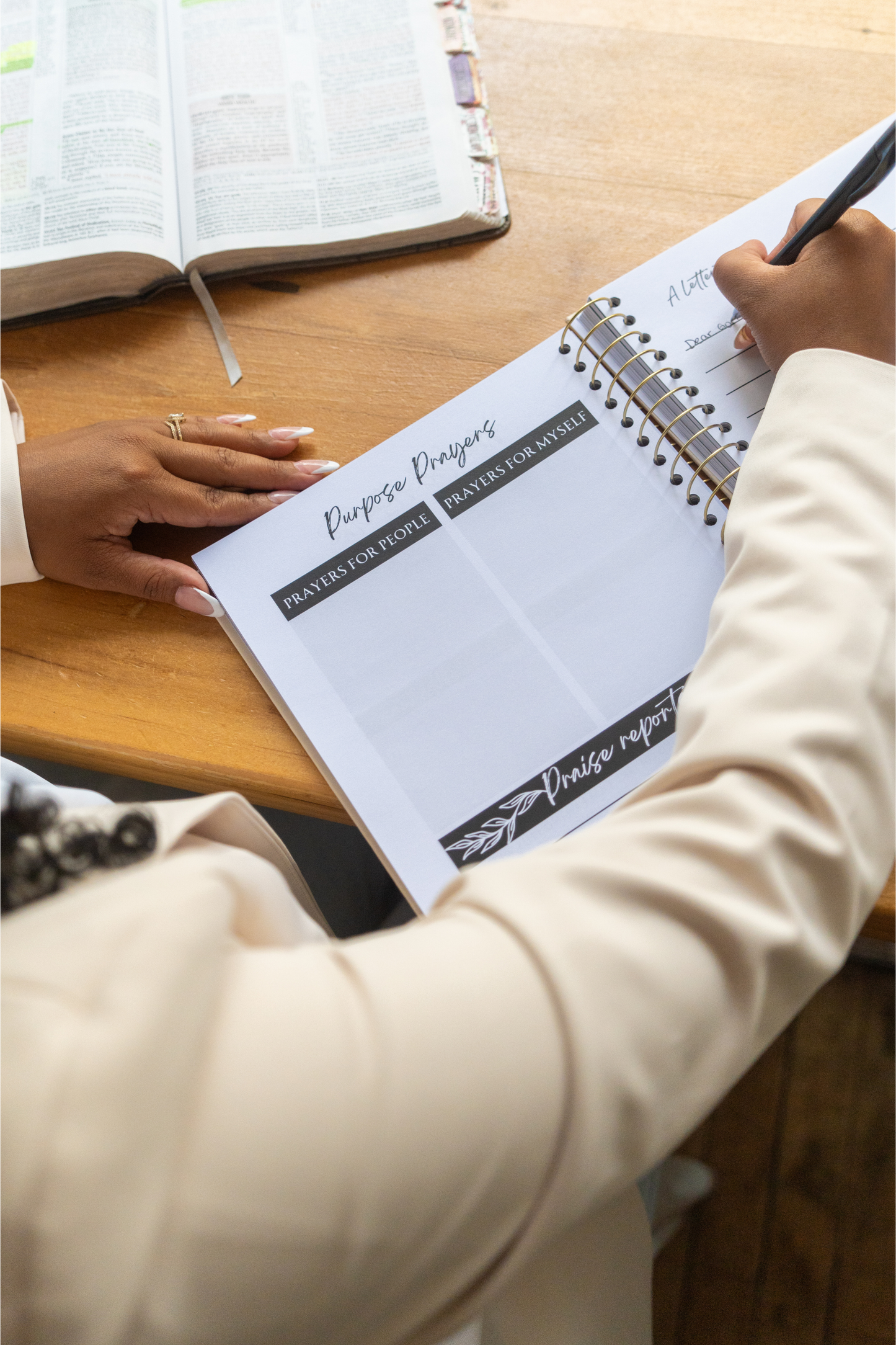 The Promises Prayer Journal