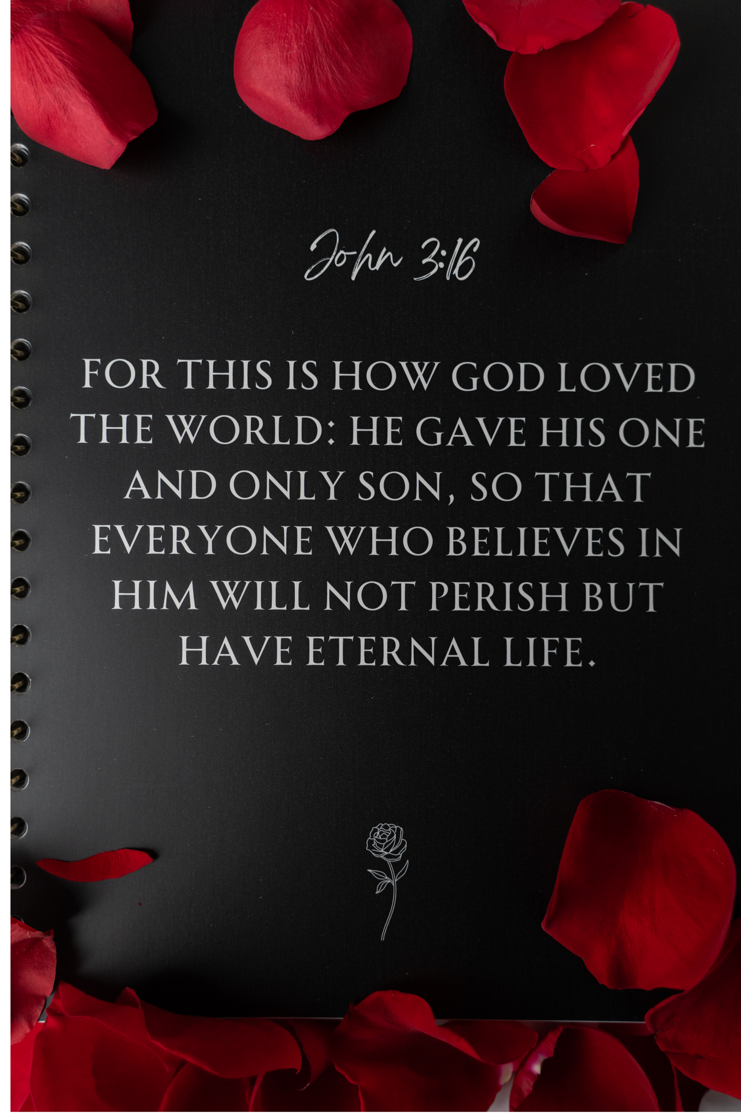 The Promises Prayer Journal