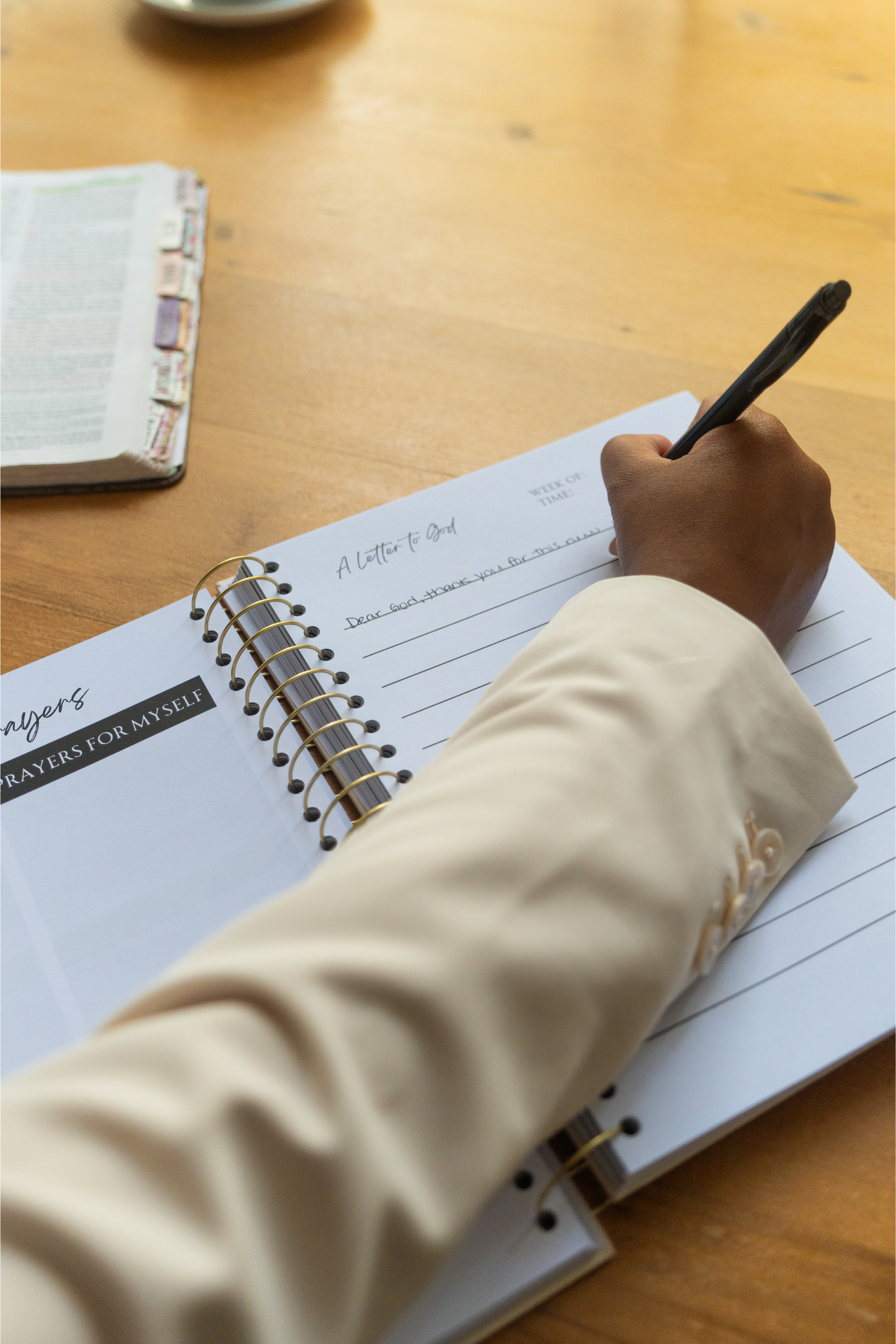 The Promises Prayer Journal